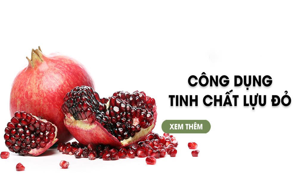 tinh chat luu doi voi da